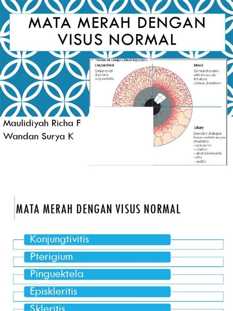 Mata Merah Visus Normal Pdf