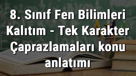 8 Sınıf Fen Bilimleri Kalıtım Tek Karakter Çaprazlamaları konu anlatımı