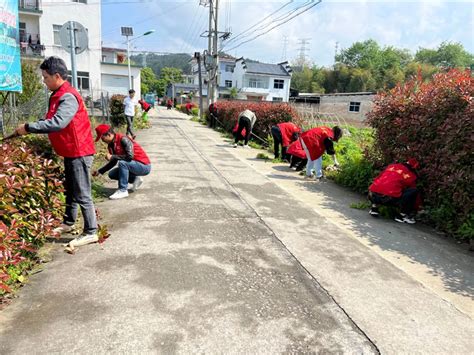 屯溪区阳湖镇：人居环境先行 推进宜居宜业和美乡村建设 文明村镇 黄山文明网