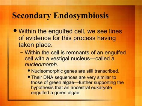 Endosymbiotic Theory 1 Ppt