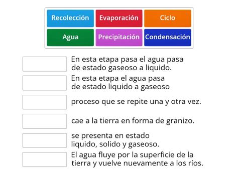 El Ciclo Del Agua Match Up