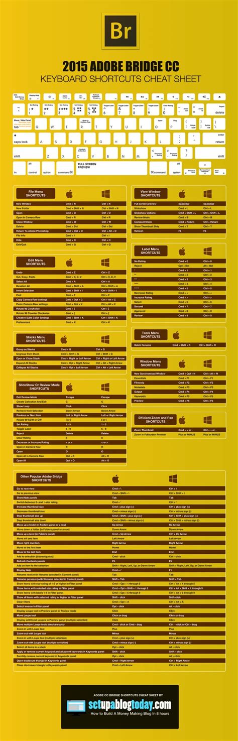 adobe bridge cheatsheet tfe times