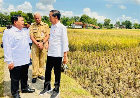 Presiden Jokowi Kunjungan Kerja Tinjau Panen Raya Padi Di Kebumen Foto