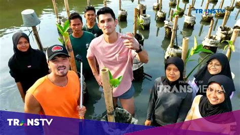 Taman Wisata Alam Mangrove Sisi Lain Keindahan Jakarta Trans TV