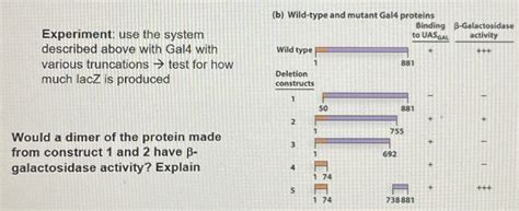 Solved Experiment: use the system described above with Gal4 | Chegg.com 