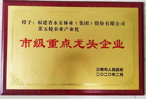 2020市级重点龙头企业 荣誉资质 福建省永安林业（集团）股份有限公司