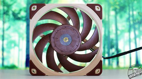 Noctua NF A12X25 LS PWM