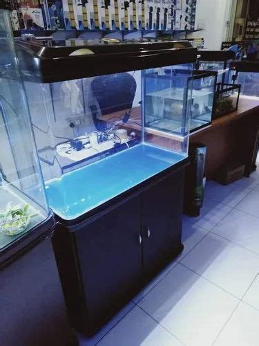 Rs Electric Glass Imported Moulded Fish Tank Packaging Type Box Size