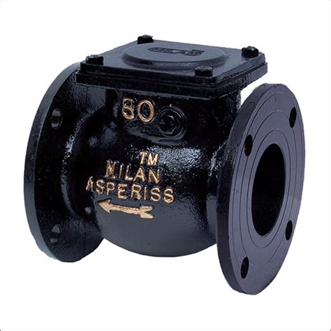 Ci Non Return Valve At Best Price In Rajkot Milan Trading Company