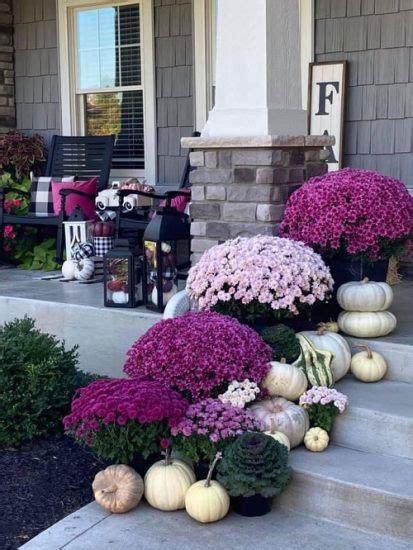 16 Ways To Decorate With Mums Landscaping With Mums Ideas