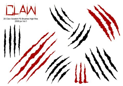 Claw Scratch Ps Brushes Abr Vol Free Photoshop Brushes At