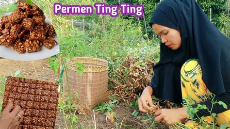 Panen Kacang Tanah Dan Membuat Jajanan Jadul Permen Ting Ting Orang