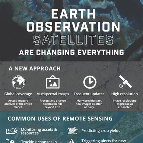 Infographic: Remote Sensing Satellite Providers