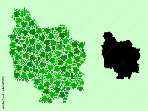 Vector Map of Burgundy Province. Combination of green grape leaves ...