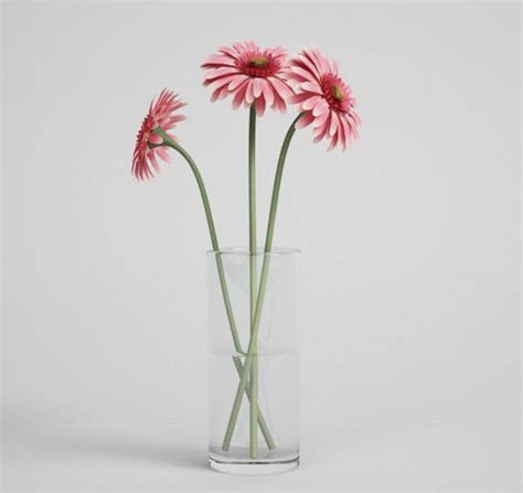 Three Daisies With Glass Vase D Model House Plants