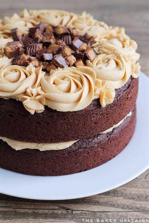 15 Of The Best Ideas For Chocolate Peanut Butter Cake Easy Recipes To Make At Home