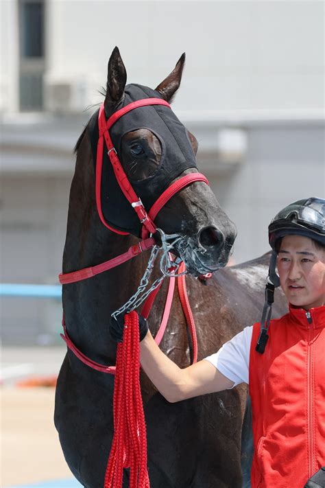 ナスティウェザー逃げ切り初陣v 2着に同じパイロ産駒で同馬主のバルミーウェザー／新馬戦 2歳馬特集 競馬写真ニュース 日刊スポーツ