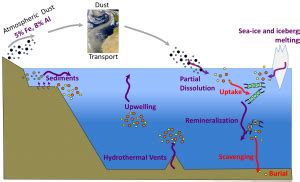 Why Study Trace Metal and Nutrient Cycling in Ocean? – Chemical Oceanography