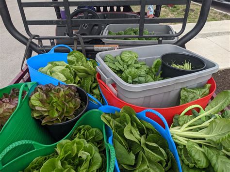 Mobile Loaves Fishes The Aquaponic Source