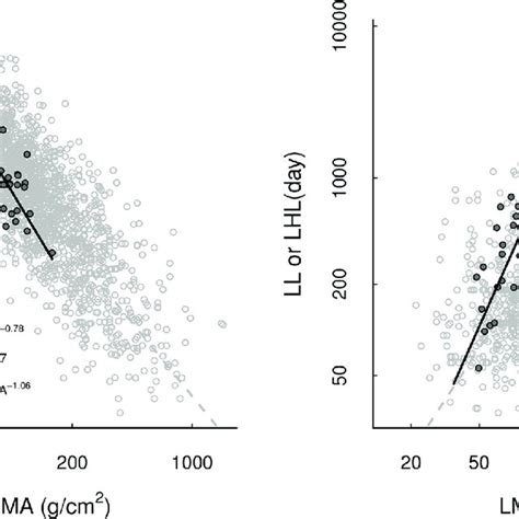 Relationships Between Leaf Mass Per Area Lma Nitrogen Concentration