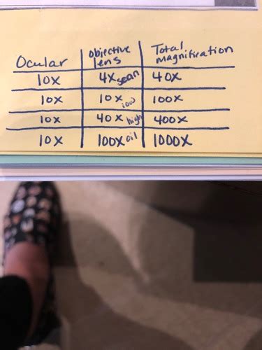 Micro Lab Practical Midterm Flashcards Quizlet