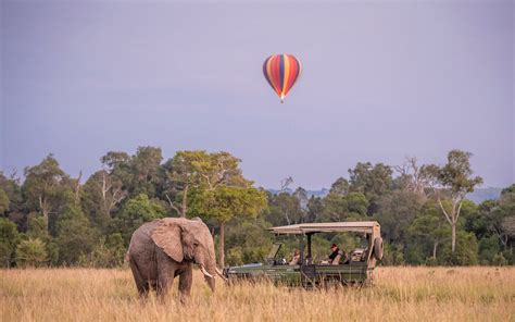 Masai Mara National Reserve Safari Packages Cost More