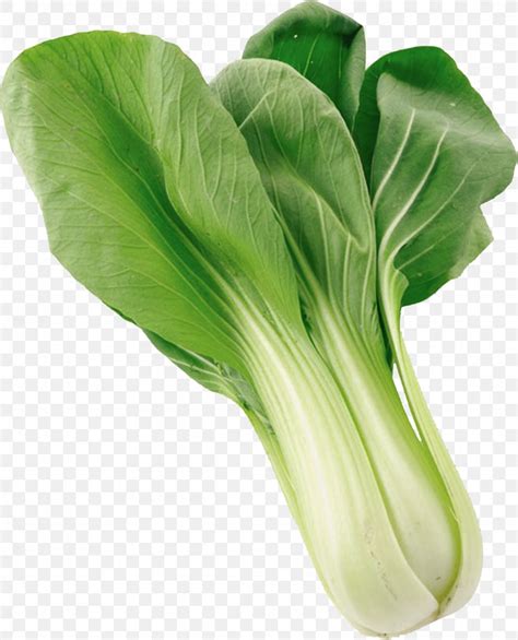 Napa Cabbage Rapeseed Choy Sum Vegetable Chinese Cabbage Png