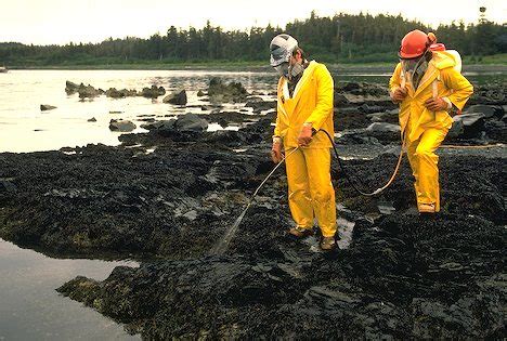 Oil Spill Bioremediation Clean Up Of Oiled Beach Affordable Tank Rentals