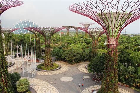 Singapore Gardens By The Bay Supertrees