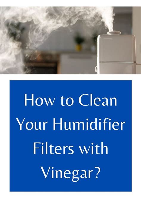 Cleaning Humidifier Filters with Vinegar