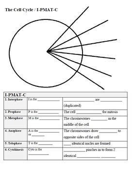 Cell Cycle Notes Circle Diagram For I Pmat C By Distant Science Learning