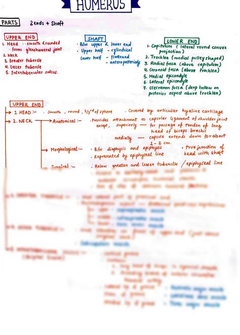 Solution Bones Johari Mbbs Studypool