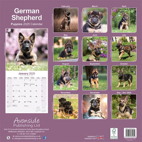 Duitse Herder Puppies Kalender 2025 Kopen Bestel Eenvoudig Online