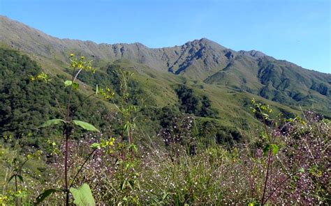 Reserva Nacional El Nogalar De Los Toldos Argentina Gob Ar