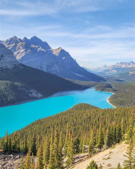 Things I Wish I Knew Before Visiting Peyto Lake