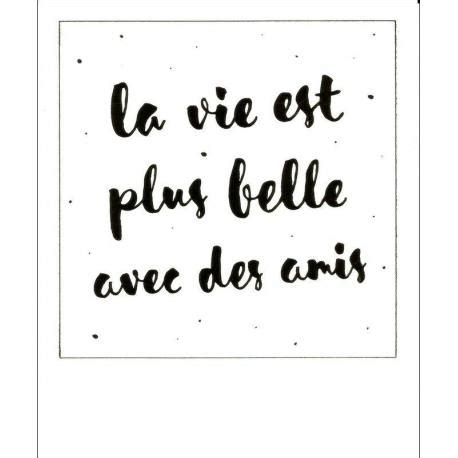 Carte Citation La Vie Est Belle Avec Des Amis Polaroid Colorchic