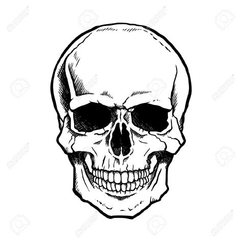 Open Mouth Skull Drawing at GetDrawings | Free download