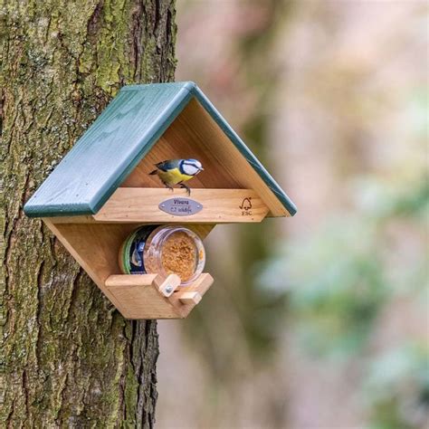 Cumberland Wall Mounted Bird Feeder Cj Wildlife