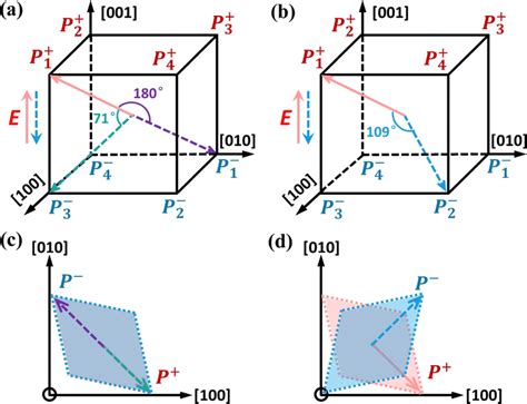 The Switching Paths Of Three Kinds Of Ferroelectric Domain Switching