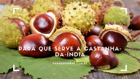 Para que serve a castanha da índia