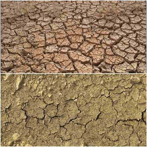 Soil Degradation Causes Effects Preventive Methods Agri Farming