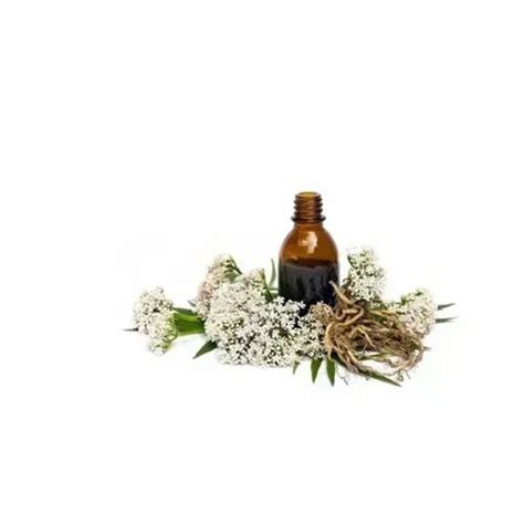 Sugandh Bala Essential Oil At Best Price In New Delhi By Nuplanet