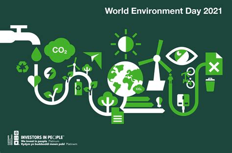 The Role Of Businesses In A More Sustainable Future Companies House