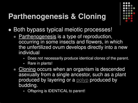 Meiosis And Sexual Life Cycles Ppt Download