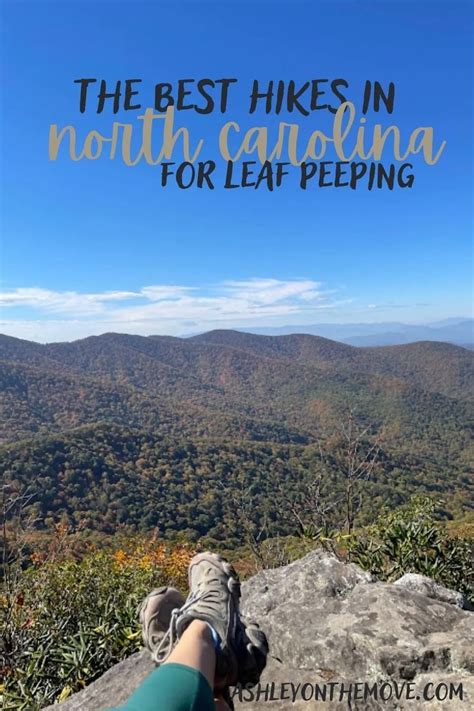 Best Hikes In North Carolina For The Ultimate Leaf Peeping Experience