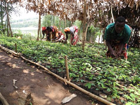 Développer lagriculture familiale pour le bien être des populations