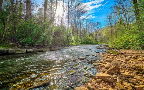 Fish evolution and biodiversity is shaped by river erosion - Earth.com
