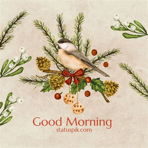 Good Morning Birds Images To Soar Your Spirits High