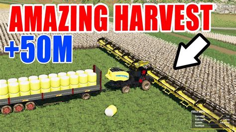 50 METER CUTTER AMAZING COTTON HARVESTING Farming Simulator 19 YouTube