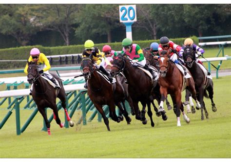 Jra【中京記念（g3）展望】夏の小倉に“強力牝馬”が集結！3連勝中「上がり馬」ロータスランド、「完全復活」ディアンドルに「良血」クラヴェルも